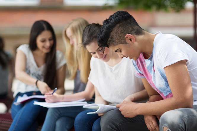 Premiers choix d'orientation en 3ème Groupe de collègiens