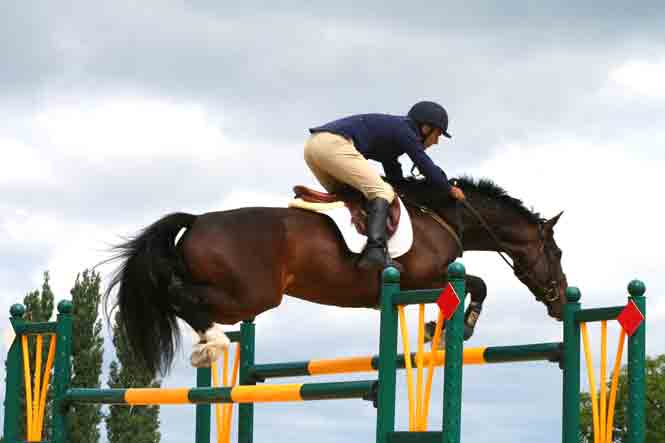 Jockey et son cheval faisant du saut d&#039;obstacle