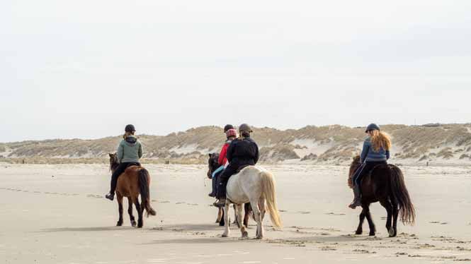 Groupe de cavaliers sur une plage