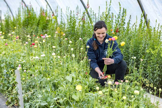 Une horticultrice au travail.