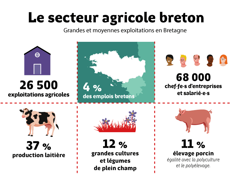 Infographie chiffres clés agriculture