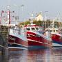 Focus sur la pêche et l'aquaculture en Bretagne