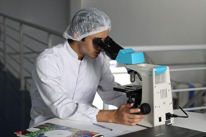Le premier BTS Bioqualité va ouvrir en Bretagne Un homme regarde quelque chose au microscope